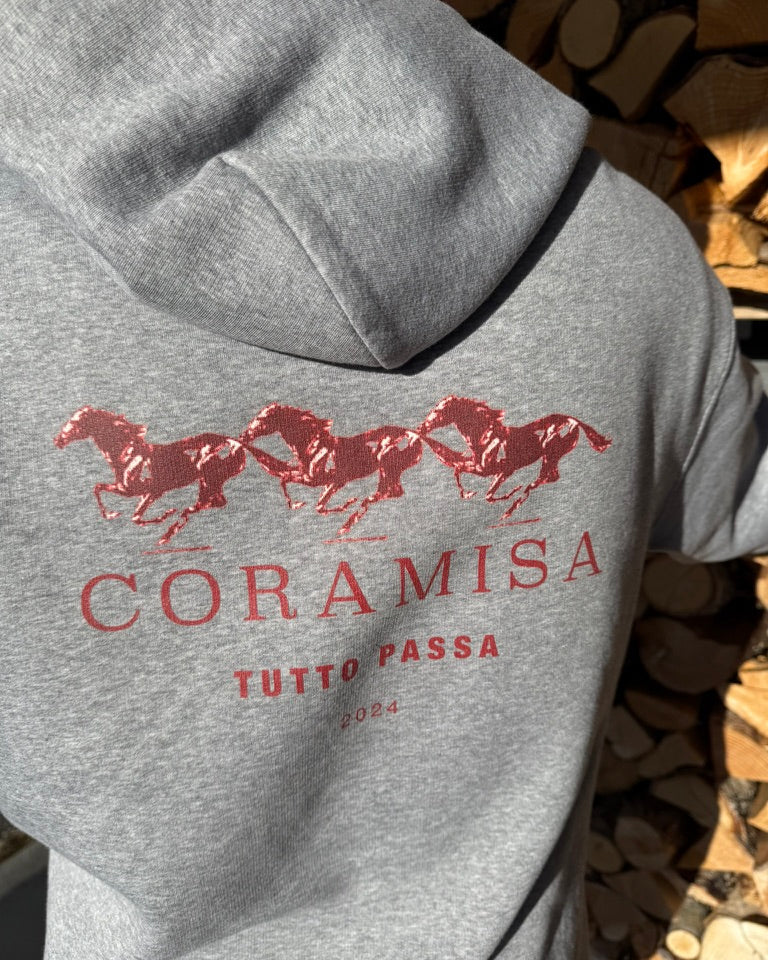 HORSEBACK HOODIE